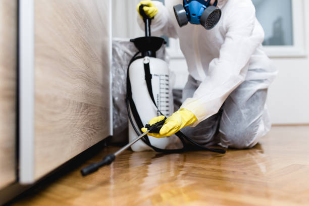 Wasp Removal Services in Emigration Canyon, UT