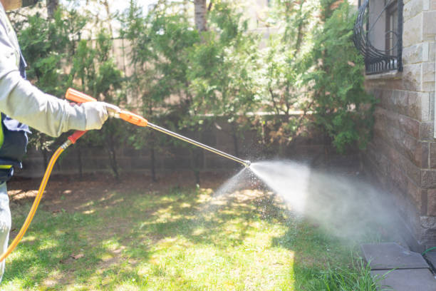 Best Flea Control Services  in Emigration Canyon, UT