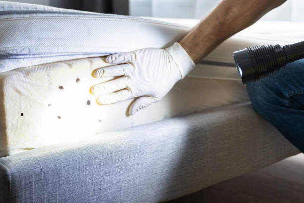 Best Cockroach Control Services  in Emigration Canyon, UT