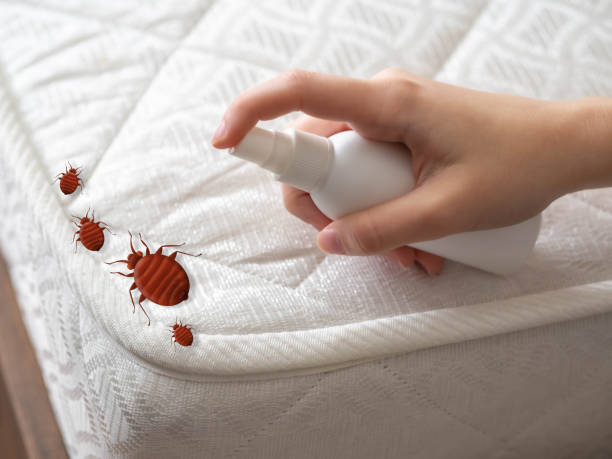 Best Commercial Pest Control Services  in Emigration Canyon, UT