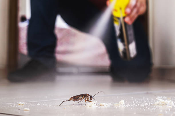 Best Affordable Pest Control Services  in Emigration Canyon, UT