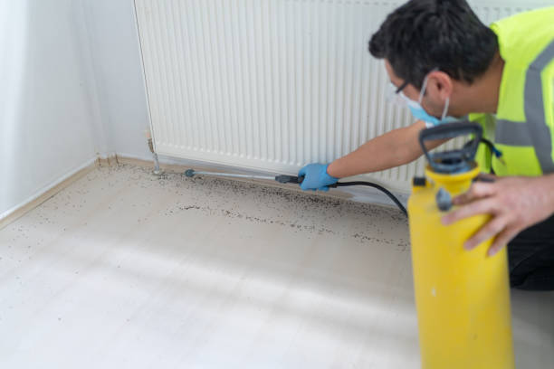 Best Exterminator Services  in Emigration Canyon, UT
